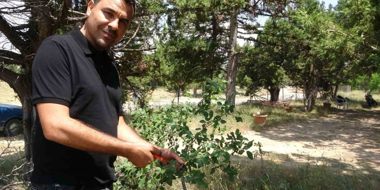 Ölmeden Ölüm İlanı Verildi, Duyunca Şok Oldu