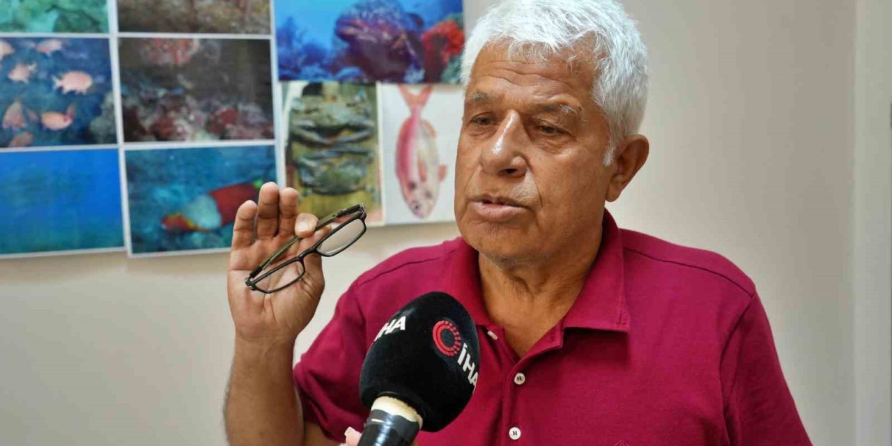 Köpek Balıklarına Yapılan "gösteri İşkencesine" Uzman Uyarısı: "ekosistemi Bozuyor, Korku Yayıyor "