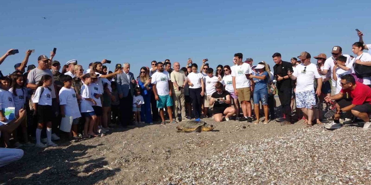 Antalya’da Deniz Kaplumbağaları Çip Takılarak Denize Uğurlandı
