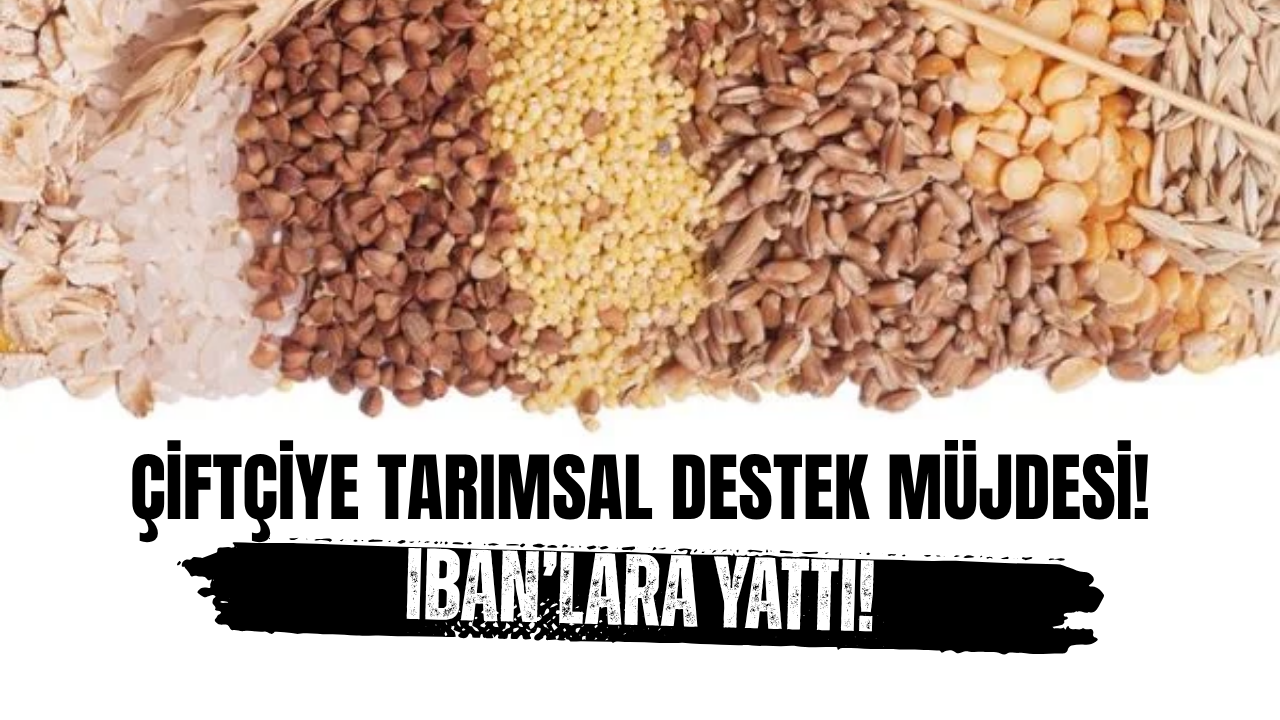 Hububat, Baklagil ve Dane Mısır Desteği Başladı!