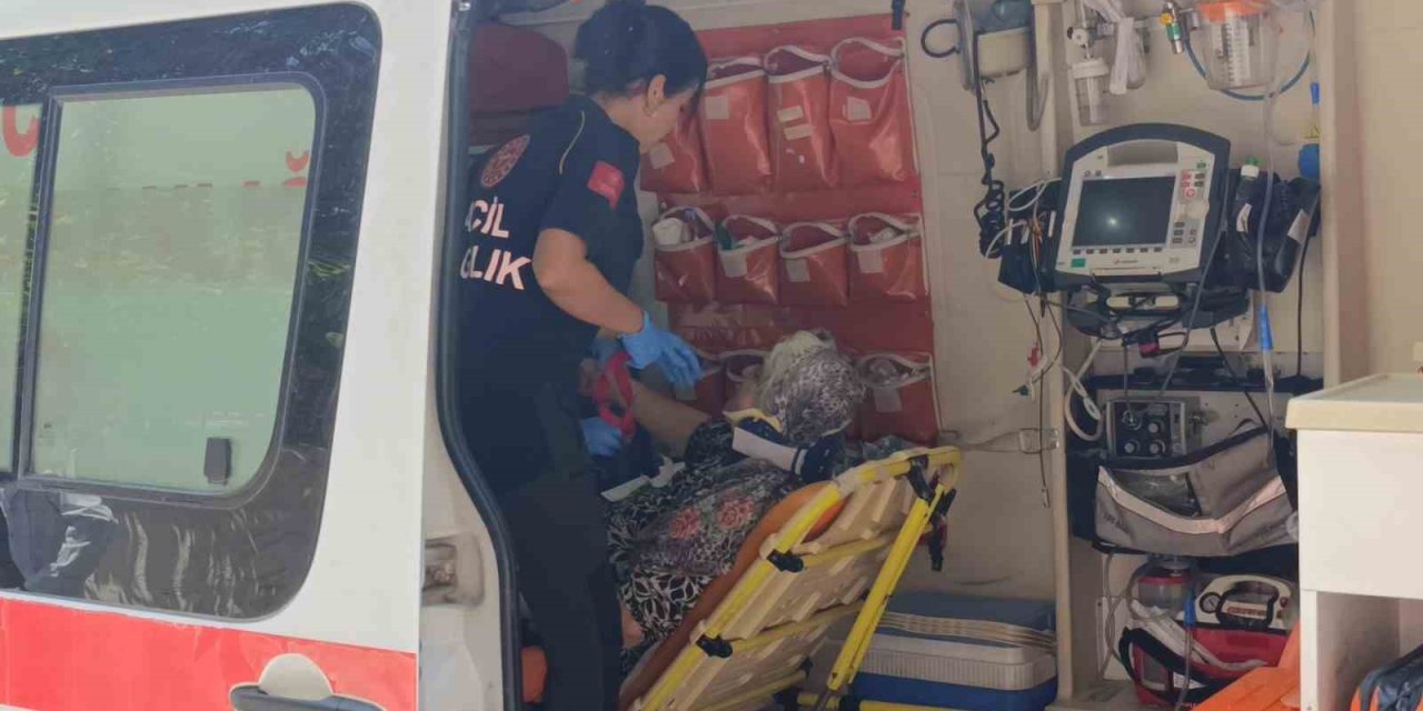 Yaya Geçidinde Kamyonetin Çarptığı Yaşlı Kadın Yaralandı