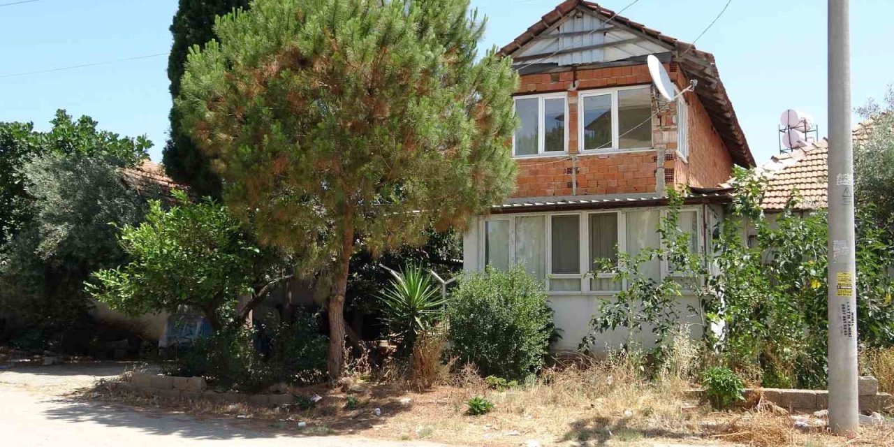 Antalya’da Kötü Kokuların Yayıldığı Ev Hayvanseverleri Ayağa Kaldırdı