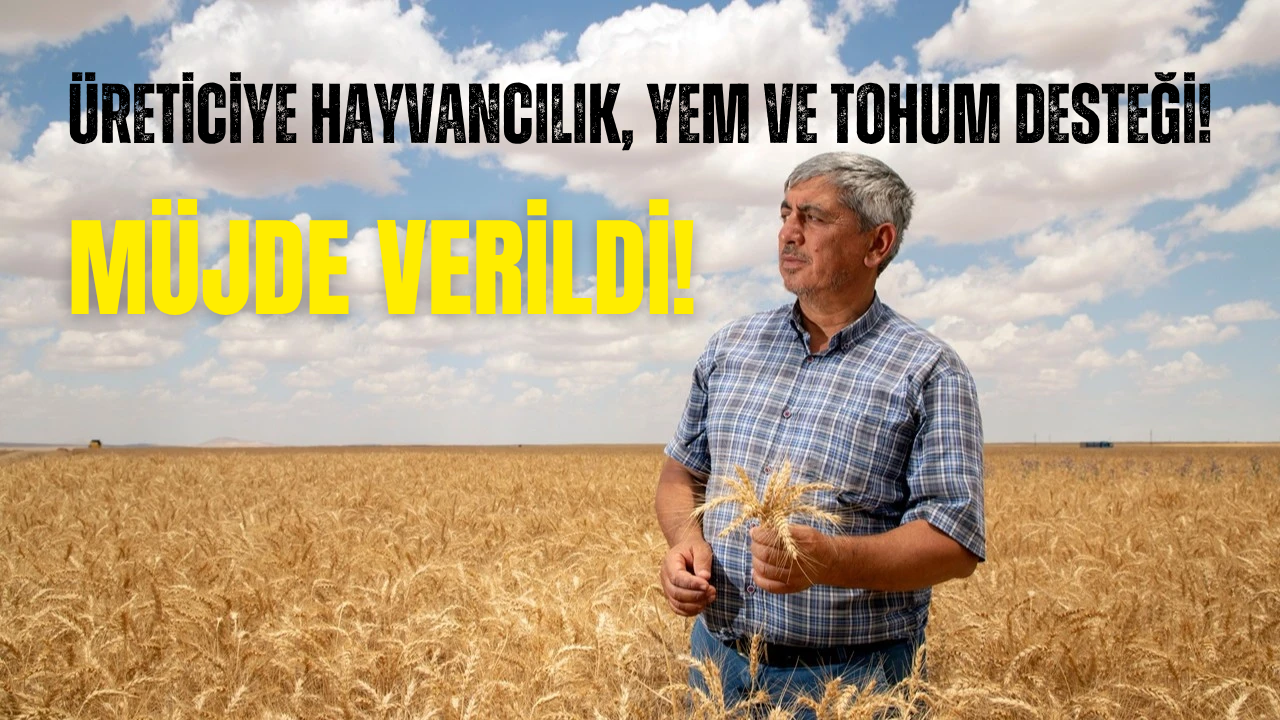 Hayvancılık Desteği Başladı! Yem ve Tohum Yardımı!