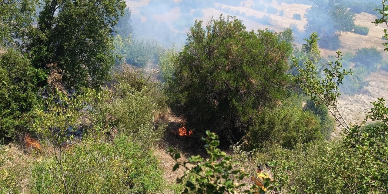 Antalya’da Ormanı Tehdit Eden Yangın Kontrol Altına Alındı