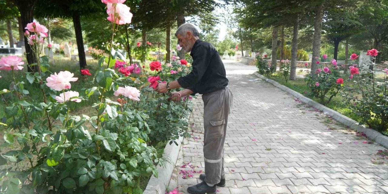 Rüyayla Başladı, Hayatının Görevi Oldu: 19 Yıldır Karşılıksız Mezarlık Bakımı Yapıyor