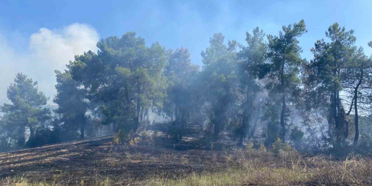 Antalya’da Ormanlık Alanda Çıkan Yangın 2 Saatte Kontrol Altına Alındı