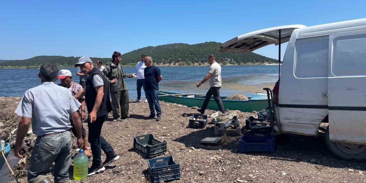 Beyşehir Gölünde Ağlara Vuran 17 Kiloluk Sazan Balığı Şaşırttı
