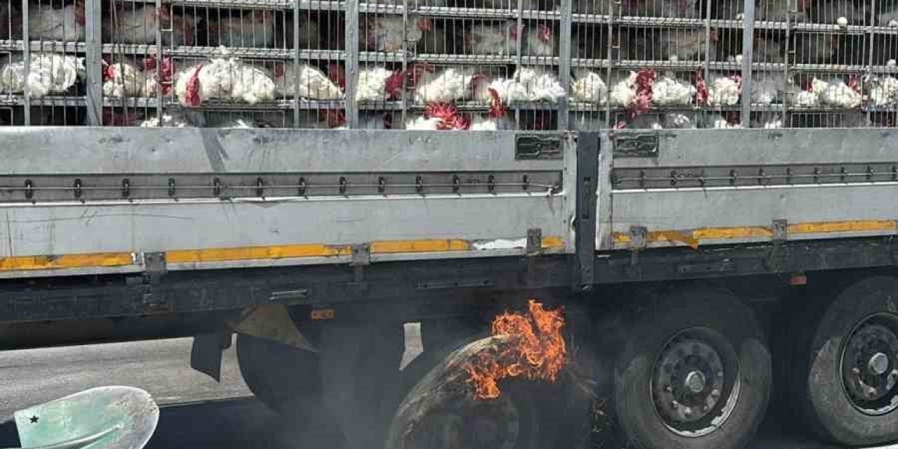 Canlı Tavuk Dolu Tırda Yangın Paniği