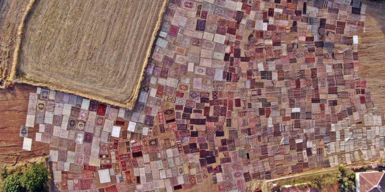 Tarlalarda Milyonluk Halı Nöbeti Başladı