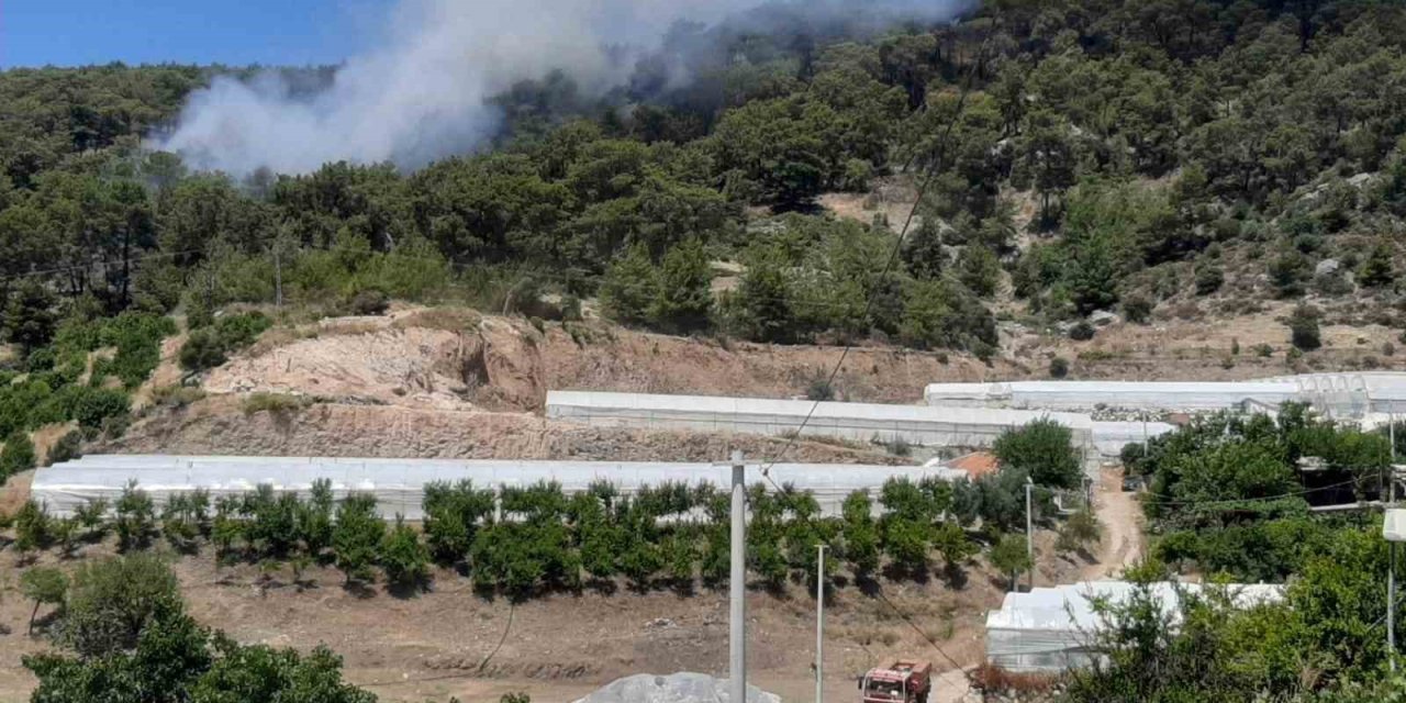 Antalya’da Orman Yangını