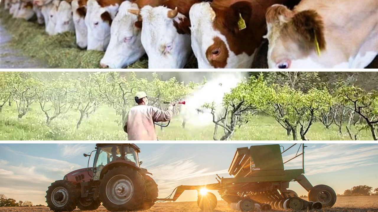 Çiftçiye Büyükbaş Hayvan, Zirai İlaçlama ve Ekipman Desteği!