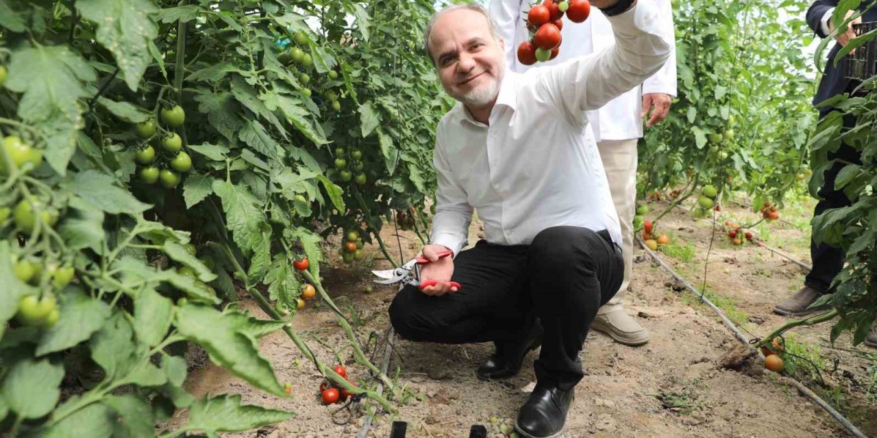 Üreten Üniversite Nöhü, Tarım Faaliyetlerine Devam Ediyor
