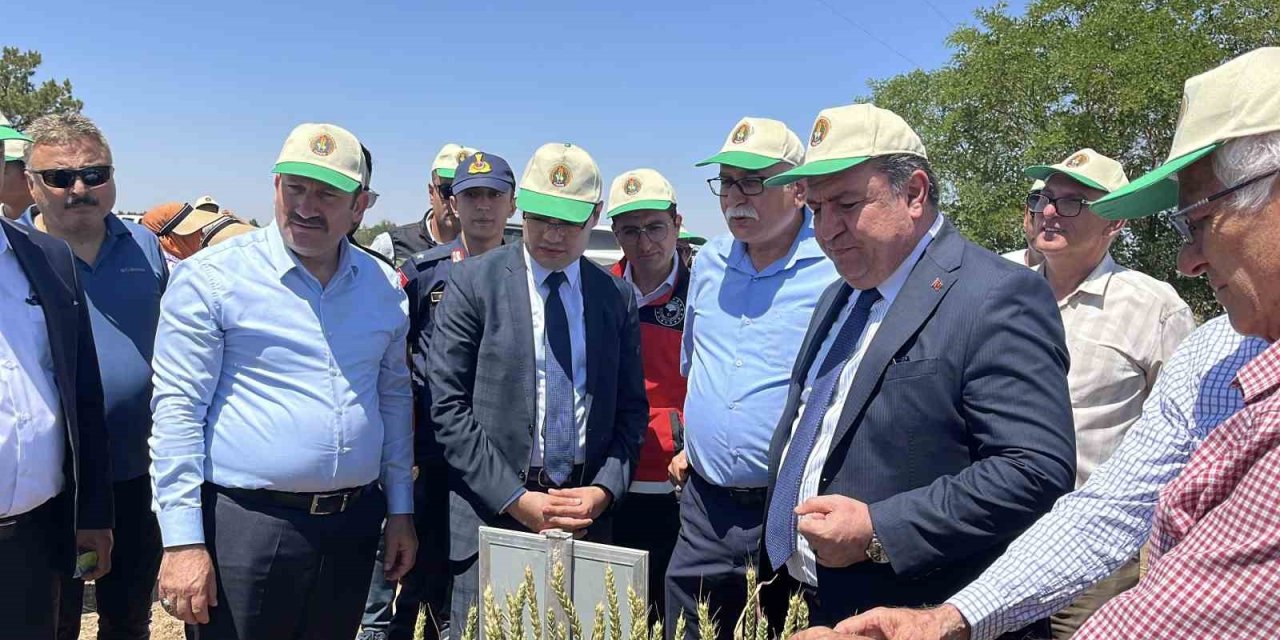 Türkiye’de Hububatta Toprağa Düşen Her Dört Tohumdan Birini Tigem Üretiyor