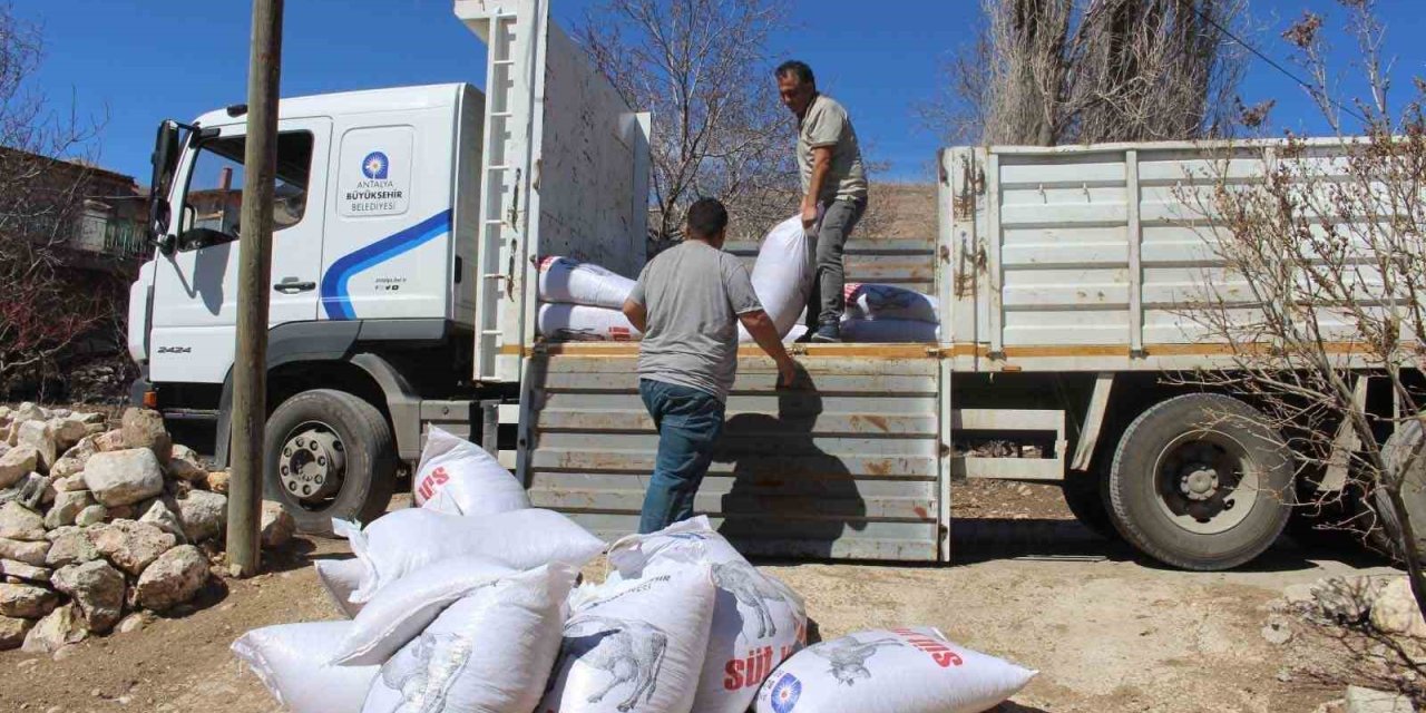 Büyükşehir’den Yem Desteğiyle Süt Üretimine Güçlü Katkı