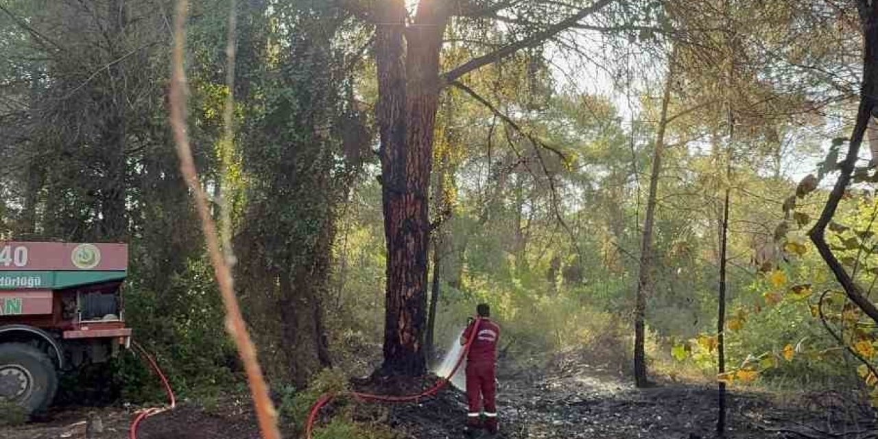 Serik’te Sabah Saatlerinde Çıkan Orman Yangını Söndürüldü