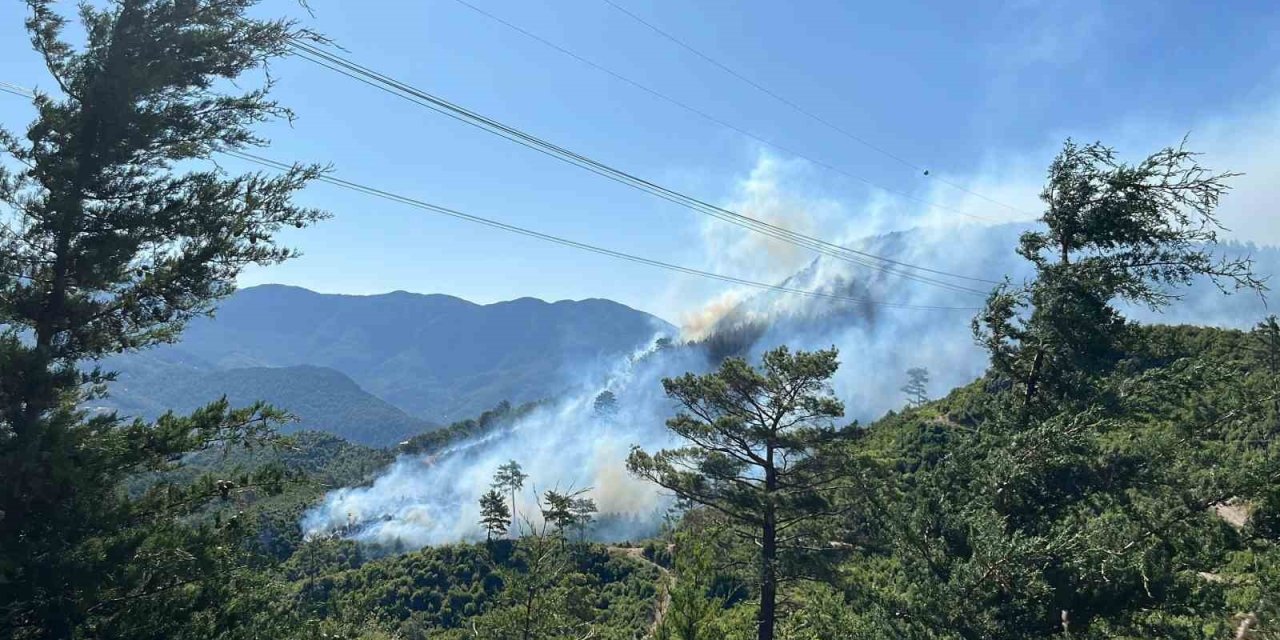 Antalya’da 2 İlçede Orman Yangını