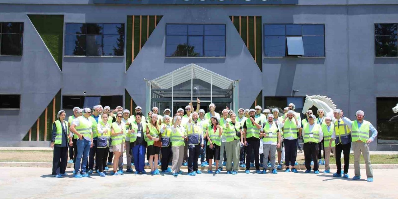 Cw Enerji, Dünya Bankası Ve 16 Ülkeden Gelen Heyeti Ağırladı