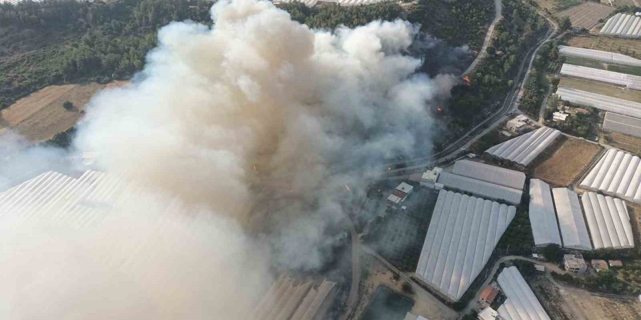 Antalya’da Orman Yangını