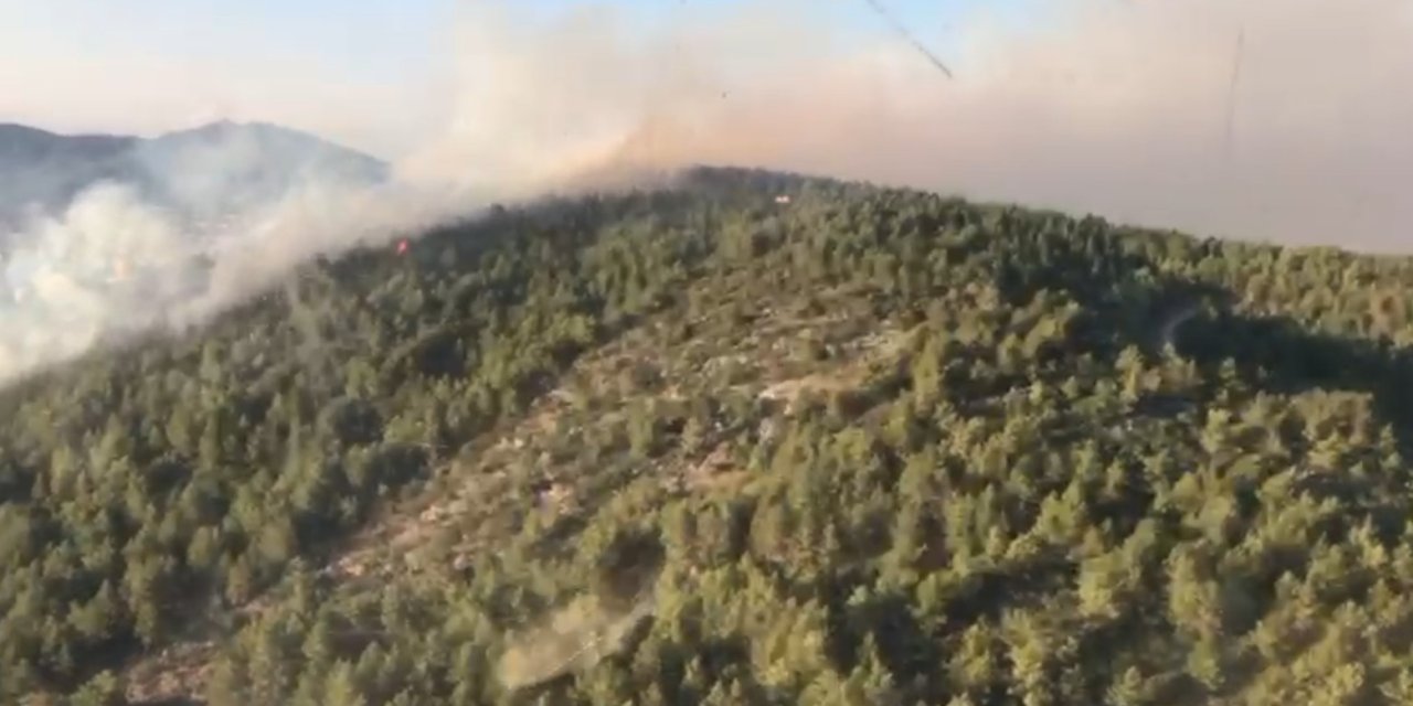 Antalya Gazipaşa’da Orman Yangını