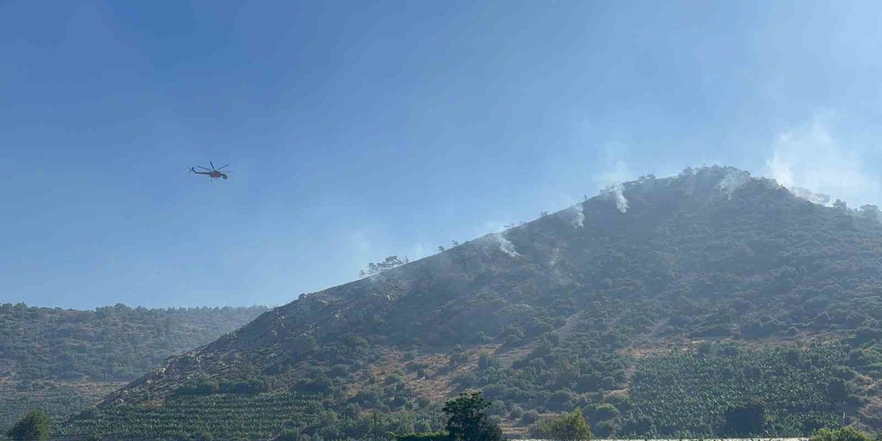 Antalya’daki Orman Yangını 3 Saatte Kontrol Altına Alındı