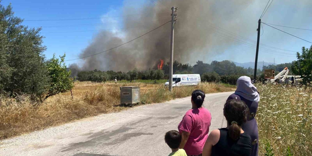 Antalya’da Ormanlık Alanda Yangın