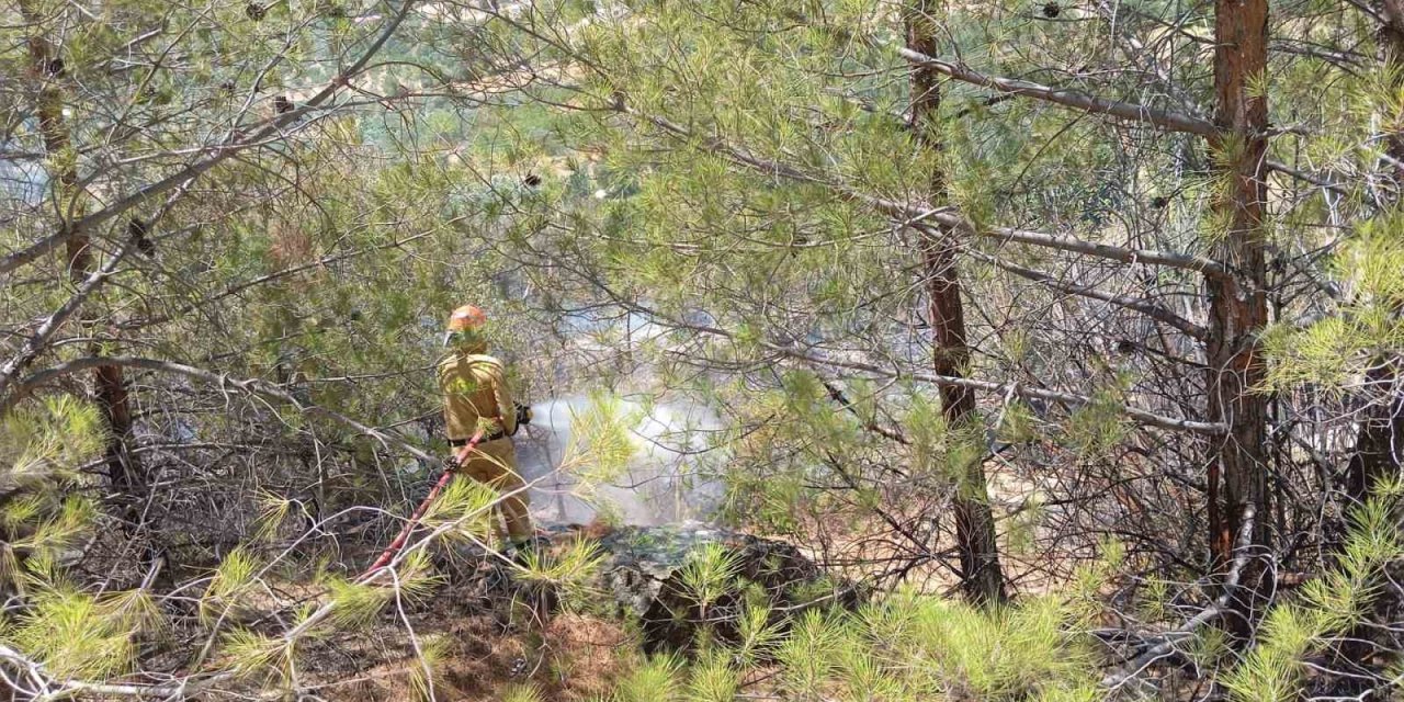 Mersin Mut’ta Orman Yangını