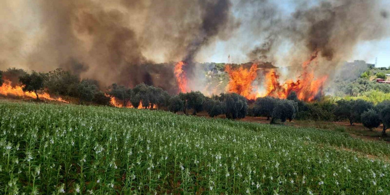 Antalya’da Ormanlık Ve Kırsal Alanda Çıkan Yangın Kontrol Altına Alındı