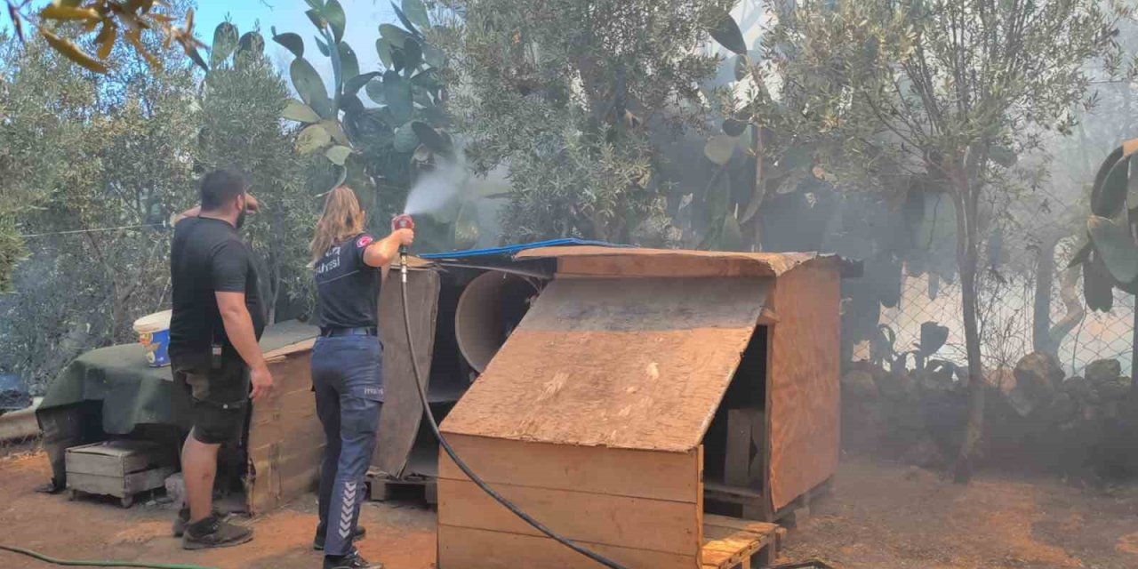 Farklı Noktalarda Çıkan Otluk Ve Ağaçlık Yangını Evlere Birkaç Metre Kala Söndürüldü