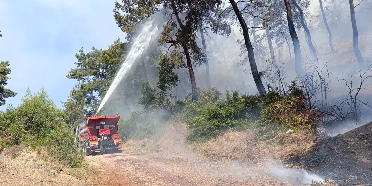 Manavgat’ta Ormanlık Alan Yangınında 3 Hektar Alan Zarar Gördü