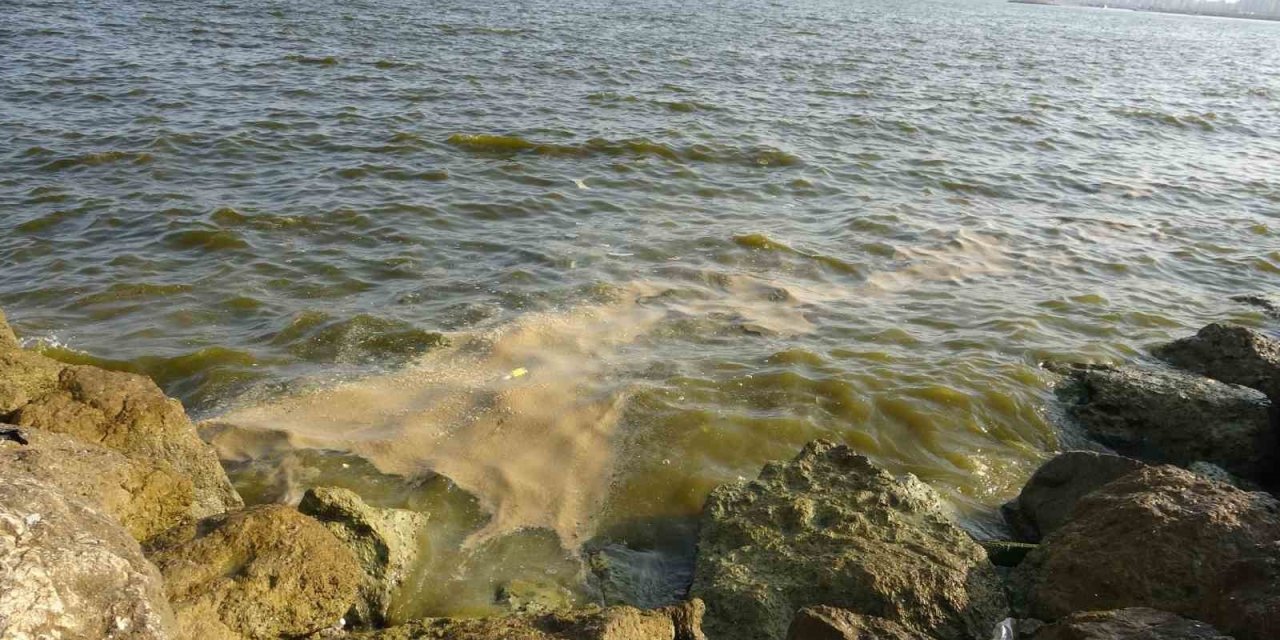 Doğu Akdeniz’de Kirlilik Gözle Görülür Hale Geldi