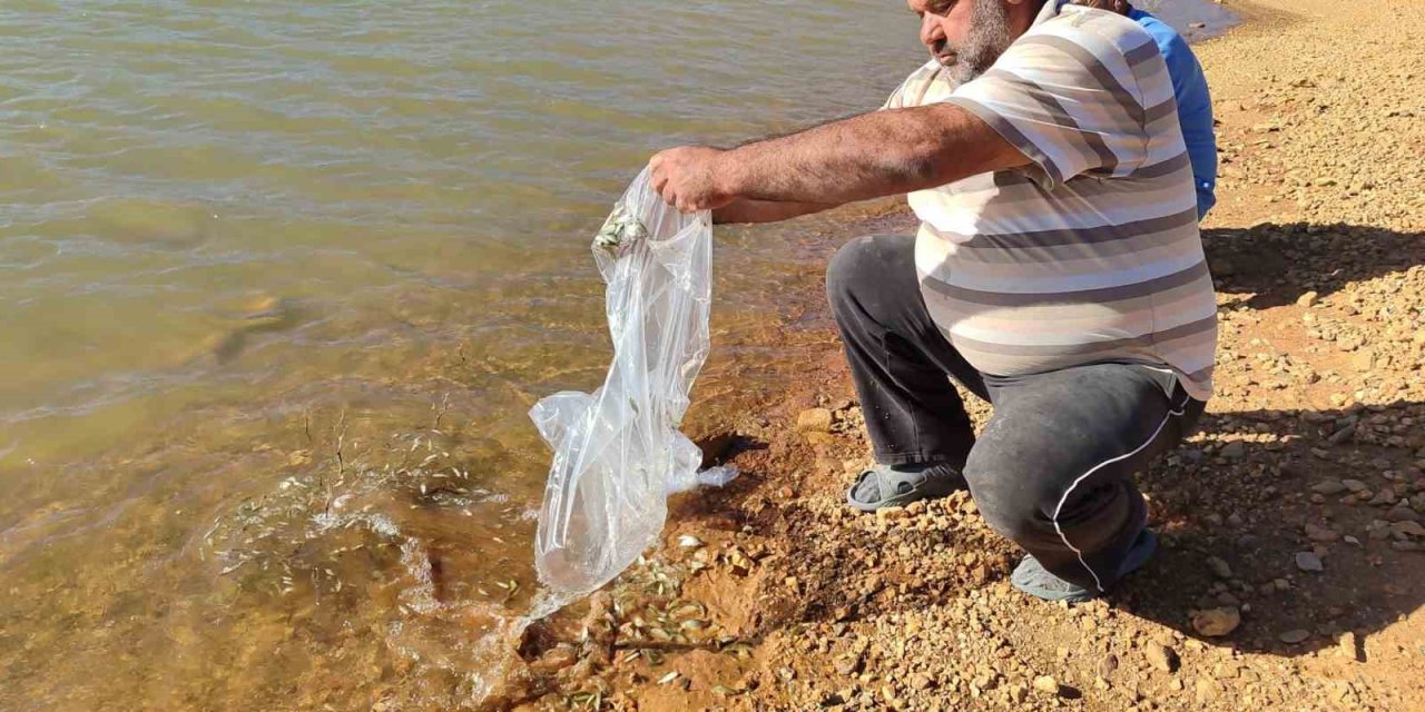 Hüyük’te Göletler Balıklandırıldı