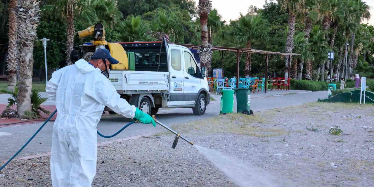 Antalya’da Haşerelere Karşı Mücadele Çalışmaları Mesire Alanlarında Da Sürüyor