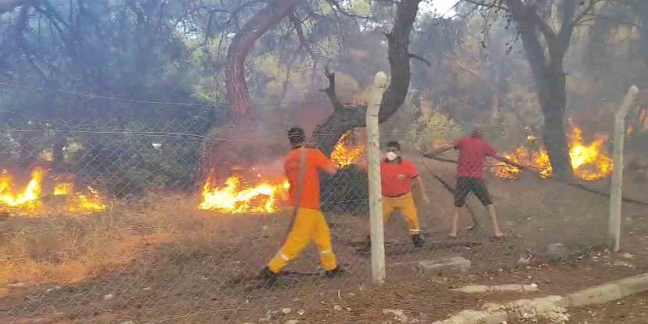 Orman Yangınına Ekiplerin Alevlerle Cansiparane Mücadelesi
