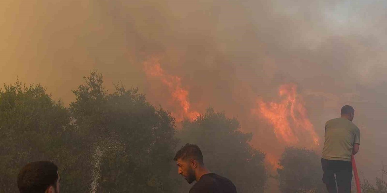 Mahallede Çıkan Yangın Paniğe Neden Oldu: Vatandaşlar Ve İtfaiye Alevlere Karşı Mücadele Etti