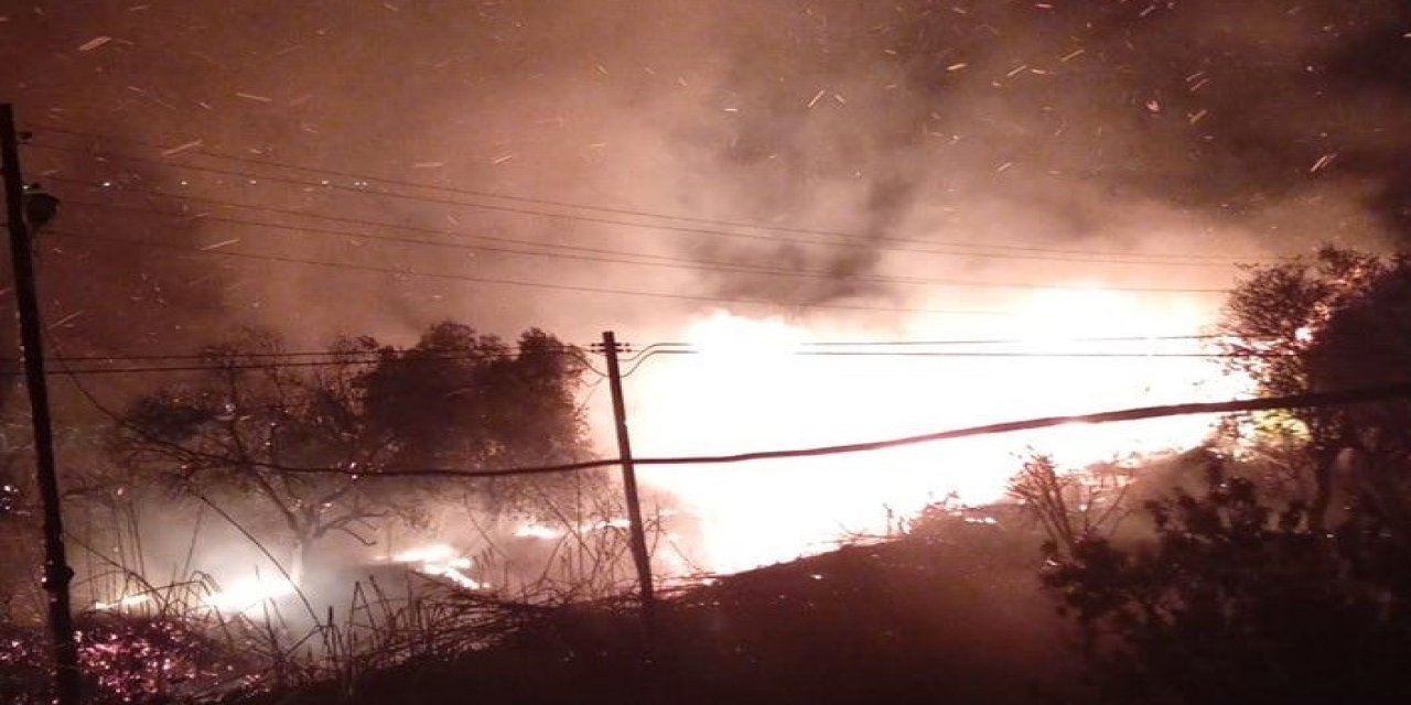 Silifke’de Ağaçlık Alanda Çıkan Yangın Söndürüldü
