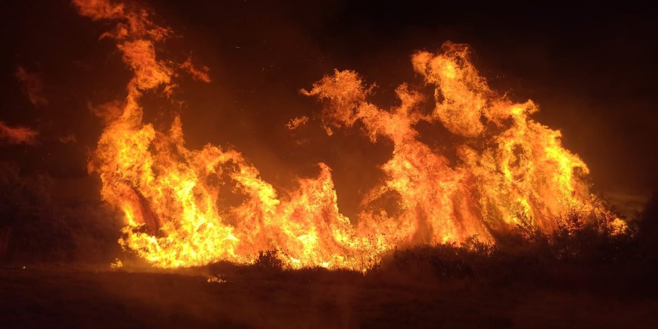 Manavgat’taki Yangında 8 Dönümlük Tarım Arazisi Zarar Gördü