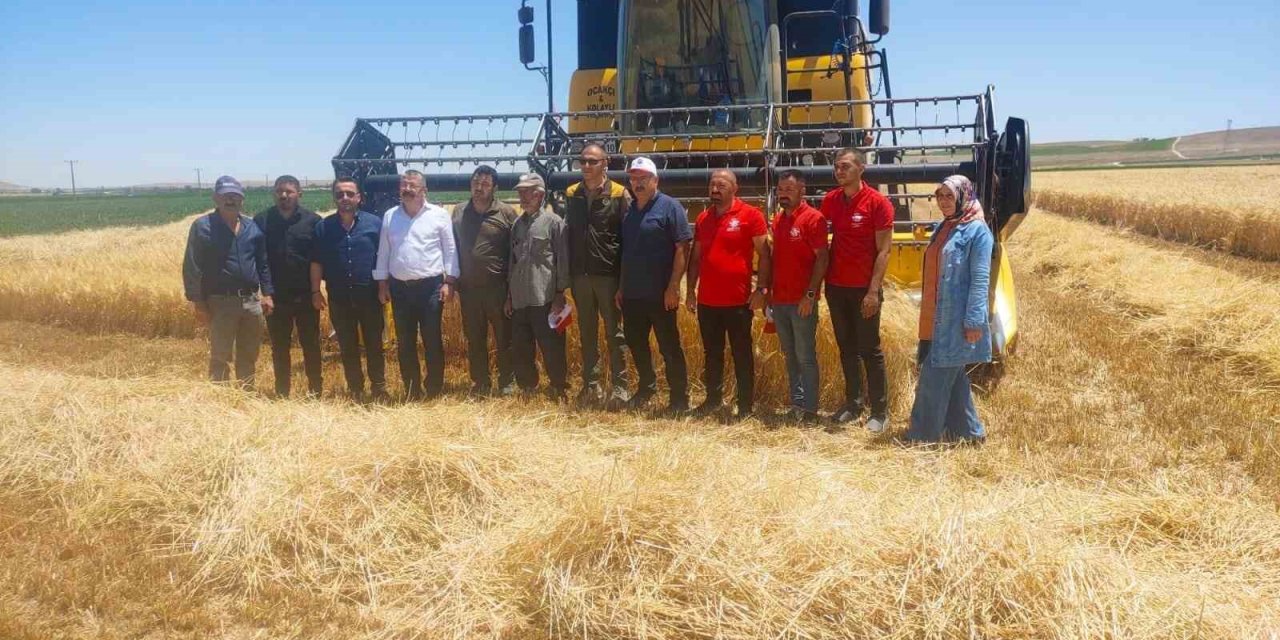 Karapınar’da Hububat Hasadı Devam Ediyor