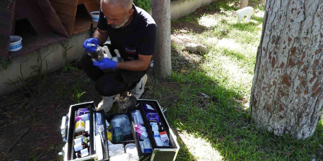 Kepez’in Can Dostları Emin Ellerde