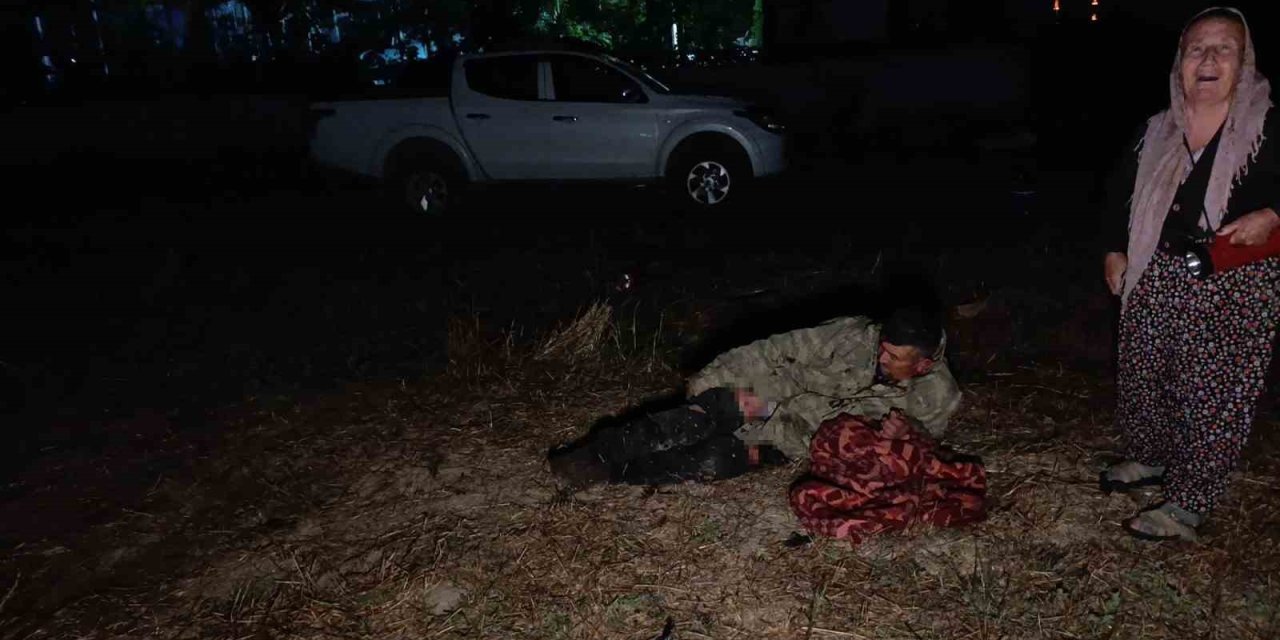 Hayvan Parkından Kaçan Aslan Fıstık Bahçesinde Uyuyan Çiftçiye Saldırdı