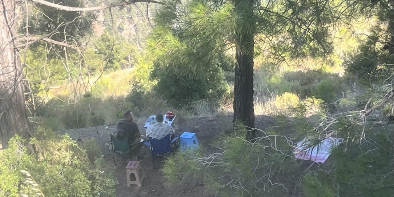 Ormanda Piknik Yapan 4 Şahsa Yasal İşlem Yapıldı