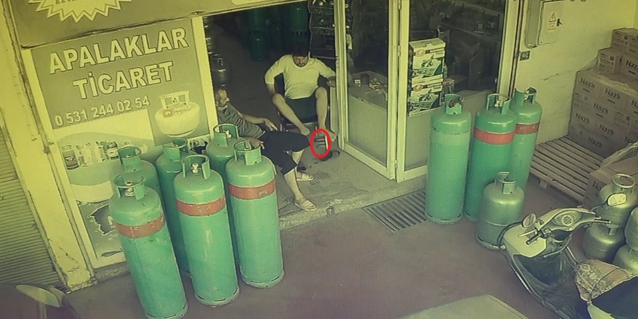 Dükkana Giren Yılan, Esnafı Sokağa Fırlattı