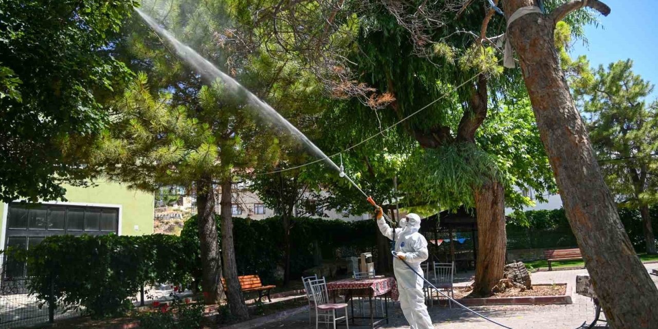 Selçuklu Belediyesi Yeşil Alan İlaçlamalarını Dış Mahallelerde De Sürdürüyor