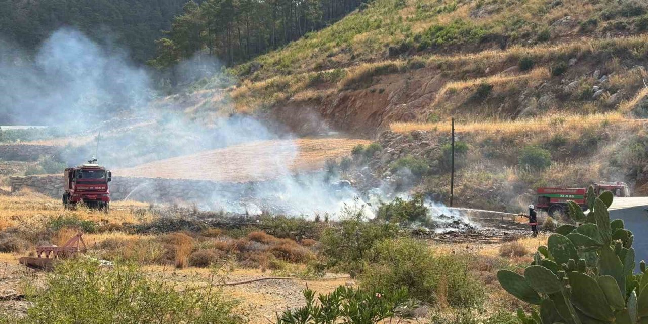 Yangın Ormana Sıçramadan Söndürüldü