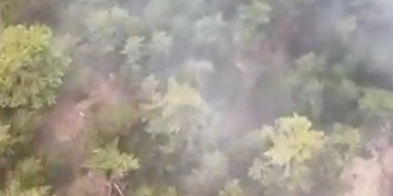 Konya’daki Orman Yangınına Müdahale Sürüyor