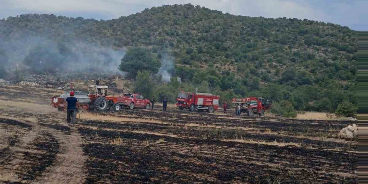 Ormana Sıçrayan Anız Yangını Korkuttu
