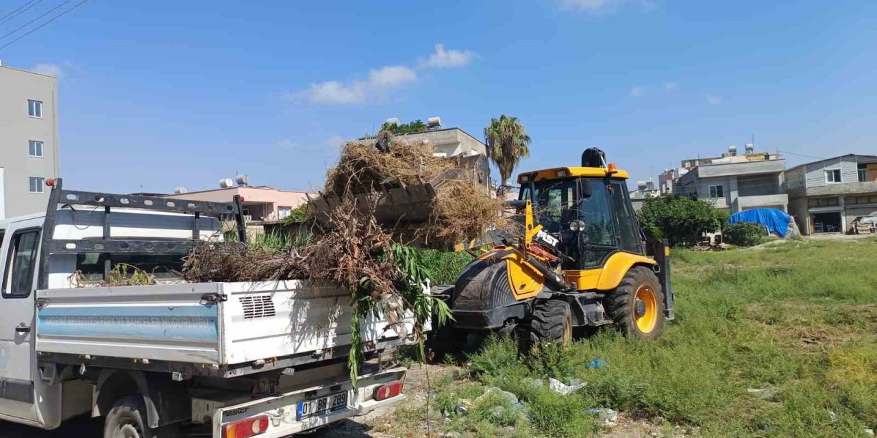 Akdeniz’de Moloz Ve Yabani Ot Temizliği Sürüyor