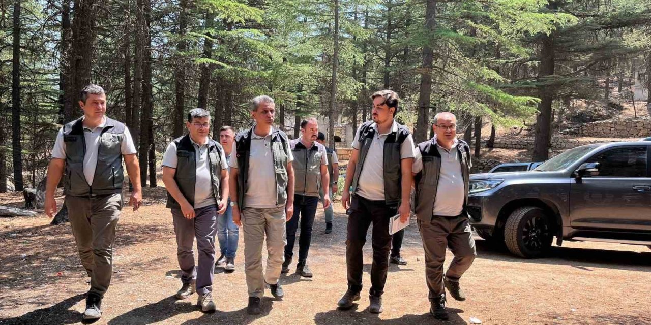 Mersin Orman Bölge Müdürü Gülnar’daki Sahalarda İncelemelerde Bulundu