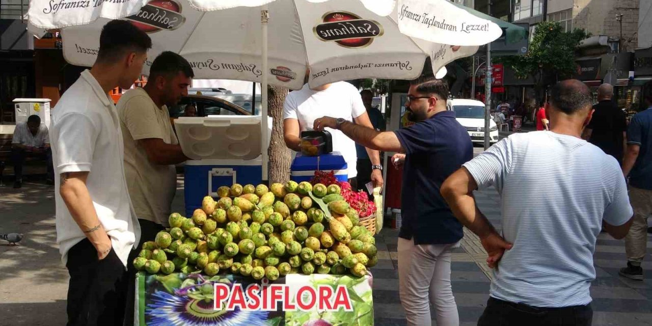 Mersin’de Doğada Kendiliğinden Yetişen Dikenli İncir Seyyar Tezgahlarda