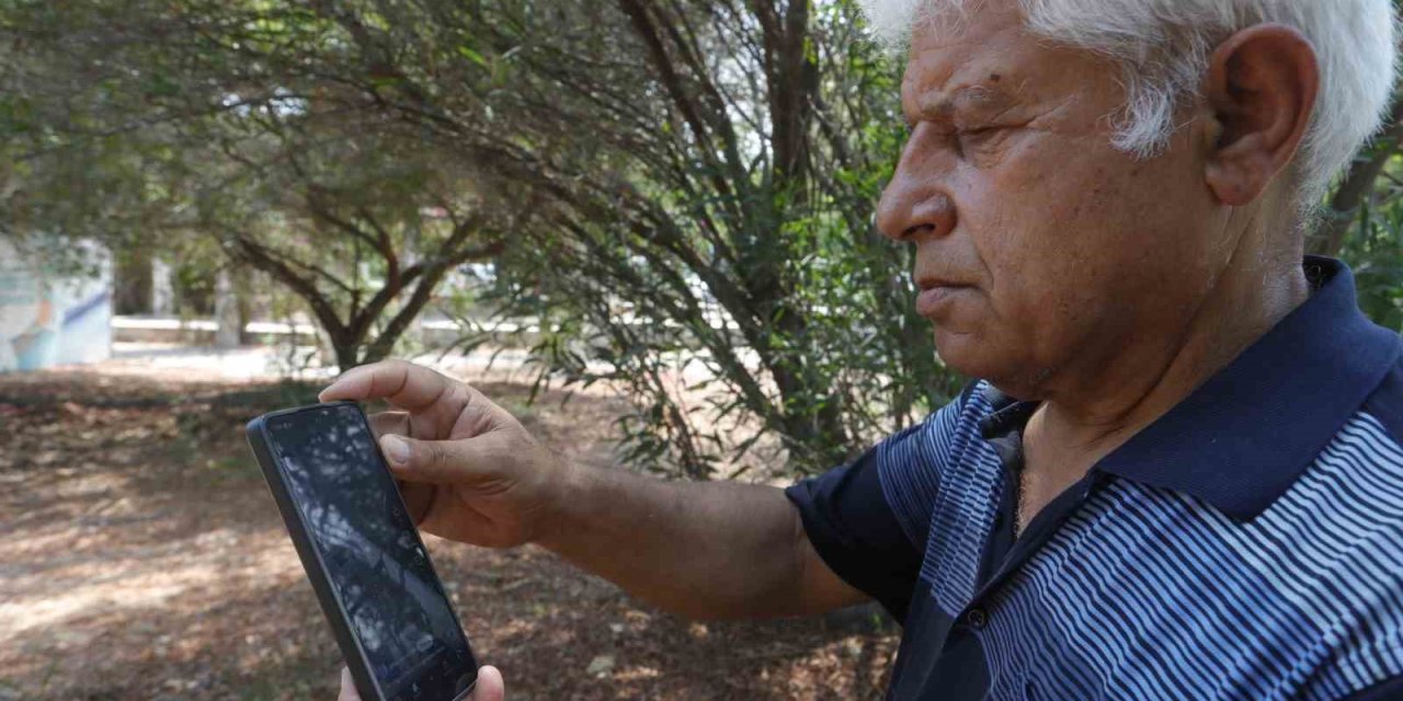 Kemer Sahilinde Asılsız Dev Köpekbalığı Paylaşımına Suç Duyurusu