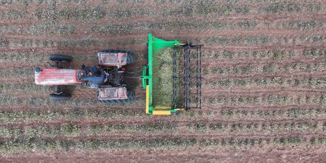 Başkan Altay: "kuraklığa Dayanıklı Bitki Destekleriyle Çiftçimize Yeni Fırsatlar Sunuyoruz"